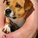 Программы лояльности казино без депозита для легкого старта