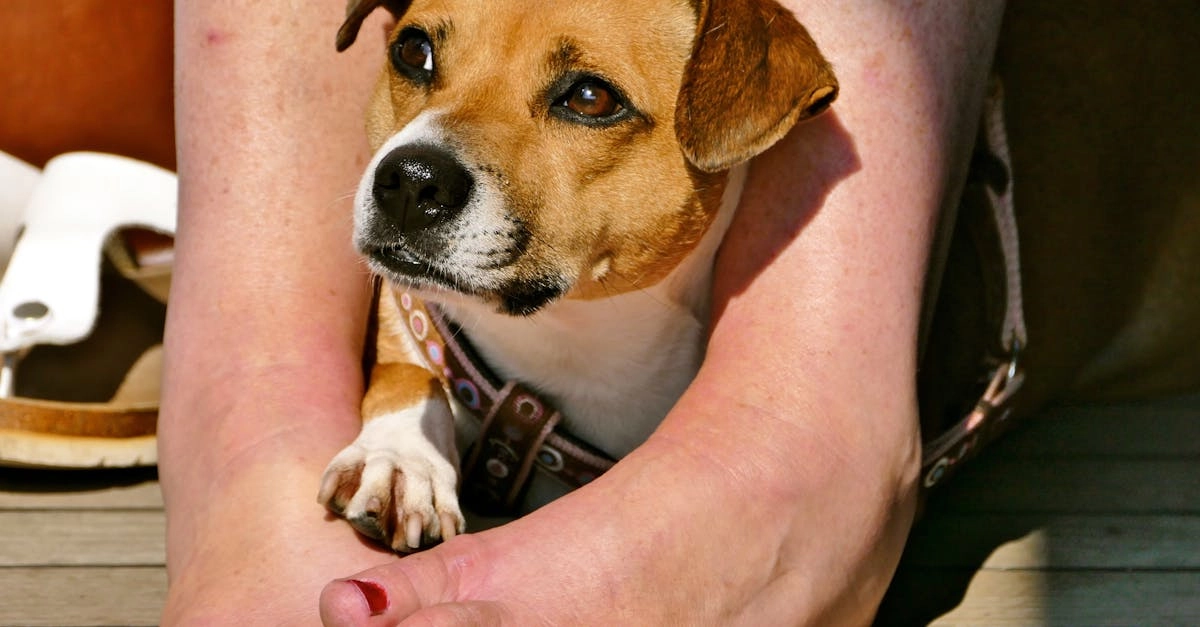 Программы лояльности казино без депозита для легкого старта